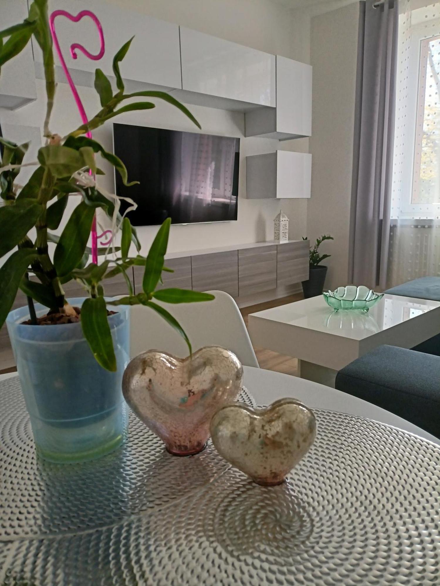Apartament Slowackiego 41 Єленя-Ґура Екстер'єр фото